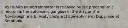 49) Which neurotransmitter is released by the preganglionic neuron at the autonomic ganglion in the diagram? a) Norepinephrine b) Acetylcholine c) Epinephrine d) Dopamine e) Serotonin