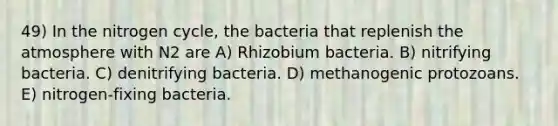 49) In the nitrogen cycle, the bacteria that replenish the atmosphere with N2 are A) Rhizobium bacteria. B) nitrifying bacteria. C) denitrifying bacteria. D) methanogenic protozoans. E) nitrogen-fixing bacteria.