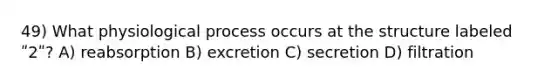 49) What physiological process occurs at the structure labeled ʺ2ʺ? A) reabsorption B) excretion C) secretion D) filtration