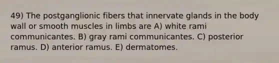 49) The postganglionic fibers that innervate glands in the body wall or smooth muscles in limbs are A) white rami communicantes. B) gray rami communicantes. C) posterior ramus. D) anterior ramus. E) dermatomes.