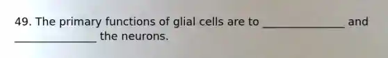 49. The primary functions of glial cells are to _______________ and _______________ the neurons.