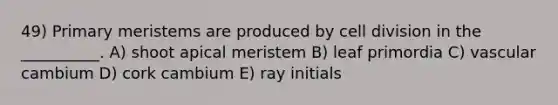 49) Primary meristems are produced by <a href='https://www.questionai.com/knowledge/kjHVAH8Me4-cell-division' class='anchor-knowledge'>cell division</a> in the __________. A) shoot apical meristem B) leaf primordia C) vascular cambium D) cork cambium E) ray initials