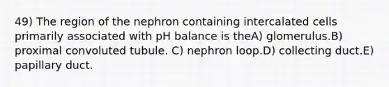 49) The region of the nephron containing intercalated cells primarily associated with pH balance is theA) glomerulus.B) proximal convoluted tubule. C) nephron loop.D) collecting duct.E) papillary duct.