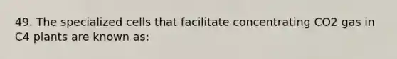 49. The specialized cells that facilitate concentrating CO2 gas in C4 plants are known as: