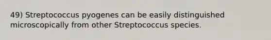 49) Streptococcus pyogenes can be easily distinguished microscopically from other Streptococcus species.