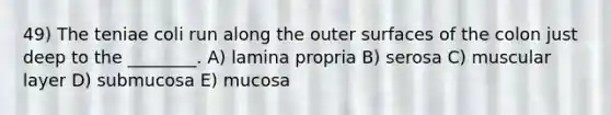 49) The teniae coli run along the outer surfaces of the colon just deep to the ________. A) lamina propria B) serosa C) muscular layer D) submucosa E) mucosa