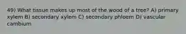 49) What tissue makes up most of the wood of a tree? A) primary xylem B) secondary xylem C) secondary phloem D) vascular cambium