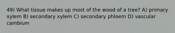 49) What tissue makes up most of the wood of a tree? A) primary xylem B) secondary xylem C) secondary phloem D) vascular cambium