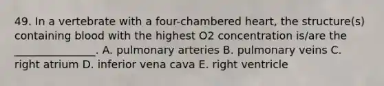 49. In a vertebrate with a four-chambered heart, the structure(s) containing blood with the highest O2 concentration is/are the _______________. A. pulmonary arteries B. pulmonary veins C. right atrium D. inferior vena cava E. right ventricle