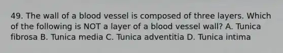 49. The wall of a blood vessel is composed of three layers. Which of the following is NOT a layer of a blood vessel wall? A. Tunica fibrosa B. Tunica media C. Tunica adventitia D. Tunica intima