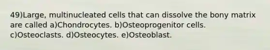 49)Large, multinucleated cells that can dissolve the bony matrix are called a)Chondrocytes. b)Osteoprogenitor cells. c)Osteoclasts. d)Osteocytes. e)Osteoblast.