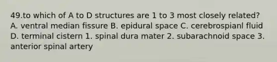 49.to which of A to D structures are 1 to 3 most closely related? A. ventral median fissure B. epidural space C. cerebrospianl fluid D. terminal cistern 1. spinal dura mater 2. subarachnoid space 3. anterior spinal artery