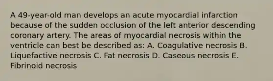 A 49-year-old man develops an acute myocardial infarction because of the sudden occlusion of the left anterior descending coronary artery. The areas of myocardial necrosis within the ventricle can best be described as: A. Coagulative necrosis B. Liquefactive necrosis C. Fat necrosis D. Caseous necrosis E. Fibrinoid necrosis