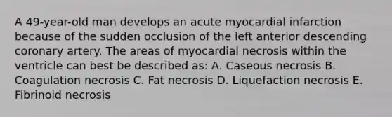 A 49-year-old man develops an acute myocardial infarction because of the sudden occlusion of the left anterior descending coronary artery. The areas of myocardial necrosis within the ventricle can best be described as: A. Caseous necrosis B. Coagulation necrosis C. Fat necrosis D. Liquefaction necrosis E. Fibrinoid necrosis