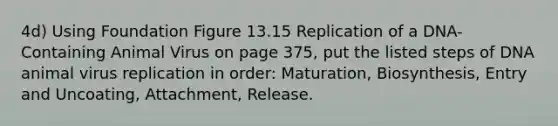 4d) Using Foundation Figure 13.15 Replication of a DNA-Containing Animal Virus on page 375, put the listed steps of DNA animal virus replication in order: Maturation, Biosynthesis, Entry and Uncoating, Attachment, Release.