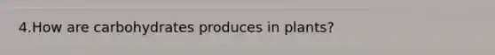 4.How are carbohydrates produces in plants?