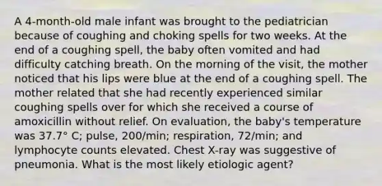 A 4-month-old male infant was brought to the pediatrician because of coughing and choking spells for two weeks. At the end of a coughing spell, the baby often vomited and had difficulty catching breath. On the morning of the visit, the mother noticed that his lips were blue at the end of a coughing spell. The mother related that she had recently experienced similar coughing spells over for which she received a course of amoxicillin without relief. On evaluation, the baby's temperature was 37.7° C; pulse, 200/min; respiration, 72/min; and lymphocyte counts elevated. Chest X-ray was suggestive of pneumonia. What is the most likely etiologic agent?