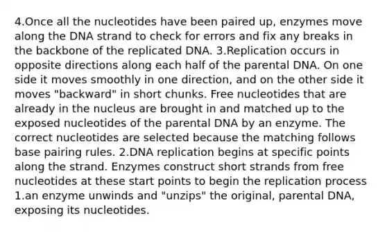 4.Once all the nucleotides have been paired up, enzymes move along the DNA strand to check for errors and fix any breaks in the backbone of the replicated DNA. 3.Replication occurs in opposite directions along each half of the parental DNA. On one side it moves smoothly in one direction, and on the other side it moves "backward" in short chunks. Free nucleotides that are already in the nucleus are brought in and matched up to the exposed nucleotides of the parental DNA by an enzyme. The correct nucleotides are selected because the matching follows base pairing rules. 2.DNA replication begins at specific points along the strand. Enzymes construct short strands from free nucleotides at these start points to begin the replication process 1.an enzyme unwinds and "unzips" the original, parental DNA, exposing its nucleotides.