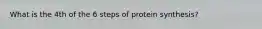 What is the 4th of the 6 steps of protein synthesis?