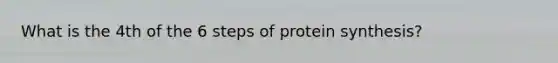 What is the 4th of the 6 steps of protein synthesis?