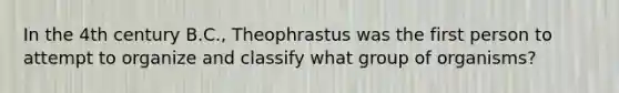 In the 4th century B.C., Theophrastus was the first person to attempt to organize and classify what group of organisms?