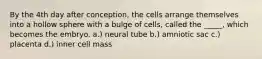 By the 4th day after conception, the cells arrange themselves into a hollow sphere with a bulge of cells, called the _____, which becomes the embryo. a.) neural tube b.) amniotic sac c.) placenta d.) inner cell mass