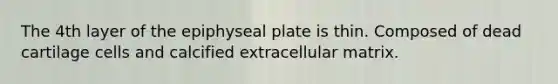 The 4th layer of the epiphyseal plate is thin. Composed of dead cartilage cells and calcified extracellular matrix.