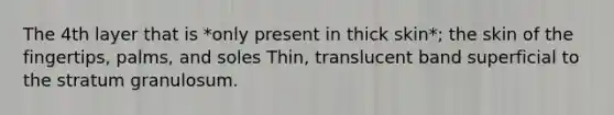 The 4th layer that is *only present in thick skin*; the skin of the fingertips, palms, and soles Thin, translucent band superficial to the stratum granulosum.