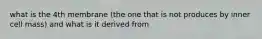 what is the 4th membrane (the one that is not produces by inner cell mass) and what is it derived from