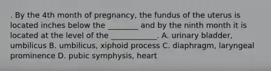 . By the 4th month of pregnancy, the fundus of the uterus is located inches below the ________ and by the ninth month it is located at the level of the ____________. A. urinary bladder, umbilicus B. umbilicus, xiphoid process C. diaphragm, laryngeal prominence D. pubic symphysis, heart