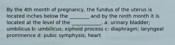 By the 4th month of pregnancy, the fundus of the uterus is located inches below the ________ and by the ninth month it is located at the level of the ____________. a: urinary bladder; umbilicus b: umbilicus; xiphoid process c: diaphragm; laryngeal prominence d: pubic symphysis; heart