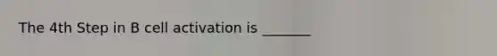 The 4th Step in B cell activation is _______