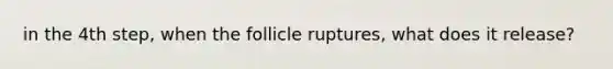 in the 4th step, when the follicle ruptures, what does it release?