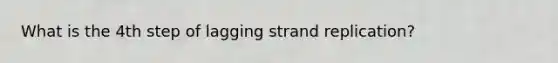 What is the 4th step of lagging strand replication?