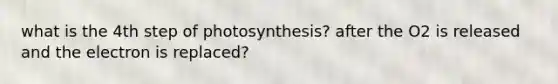 what is the 4th step of photosynthesis? after the O2 is released and the electron is replaced?