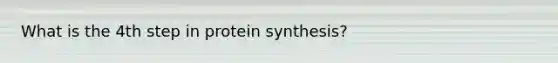 What is the 4th step in protein synthesis?