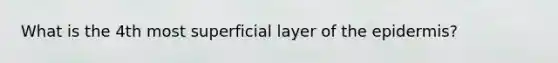 What is the 4th most superficial layer of the epidermis?