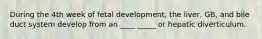 During the 4th week of fetal development, the liver, GB, and bile duct system develop from an ____ _____ or hepatic diverticulum.