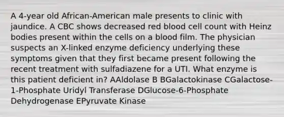 A 4-year old African-American male presents to clinic with jaundice. A CBC shows decreased red blood cell count with Heinz bodies present within the cells on a blood film. The physician suspects an X-linked enzyme deficiency underlying these symptoms given that they first became present following the recent treatment with sulfadiazene for a UTI. What enzyme is this patient deficient in? AAldolase B BGalactokinase CGalactose-1-Phosphate Uridyl Transferase DGlucose-6-Phosphate Dehydrogenase EPyruvate Kinase