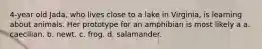 4-year old Jada, who lives close to a lake in Virginia, is learning about animals. Her prototype for an amphibian is most likely a a. caecilian. b. newt. c. frog. d. salamander.