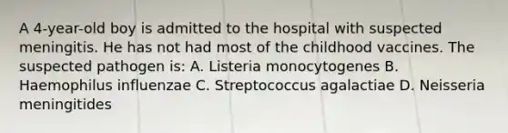 A 4-year-old boy is admitted to the hospital with suspected meningitis. He has not had most of the childhood vaccines. The suspected pathogen is: A. Listeria monocytogenes B. Haemophilus influenzae C. Streptococcus agalactiae D. Neisseria meningitides