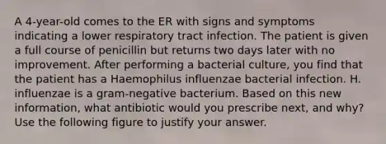 A 4-year-old comes to the ER with signs and symptoms indicating a lower respiratory tract infection. The patient is given a full course of penicillin but returns two days later with no improvement. After performing a bacterial culture, you find that the patient has a Haemophilus influenzae bacterial infection. H. influenzae is a gram-negative bacterium. Based on this new information, what antibiotic would you prescribe next, and why? Use the following figure to justify your answer.