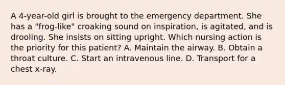 A 4-year-old girl is brought to the emergency department. She has a "frog-like" croaking sound on inspiration, is agitated, and is drooling. She insists on sitting upright. Which nursing action is the priority for this patient? A. Maintain the airway. B. Obtain a throat culture. C. Start an intravenous line. D. Transport for a chest x-ray.