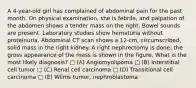 A 4-year-old girl has complained of abdominal pain for the past month. On physical examination, she is febrile, and palpation of the abdomen shows a tender mass on the right. Bowel sounds are present. Laboratory studies show hematuria without proteinuria. Abdominal CT scan shows a 12-cm, circumscribed, solid mass in the right kidney. A right nephrectomy is done; the gross appearance of the mass is shown in the figure. What is the most likely diagnosis? □ (A) Angiomyolipoma □ (B) Interstitial cell tumor □ (C) Renal cell carcinoma □ (D) Transitional cell carcinoma □ (E) Wilms tumor, nephroblastoma