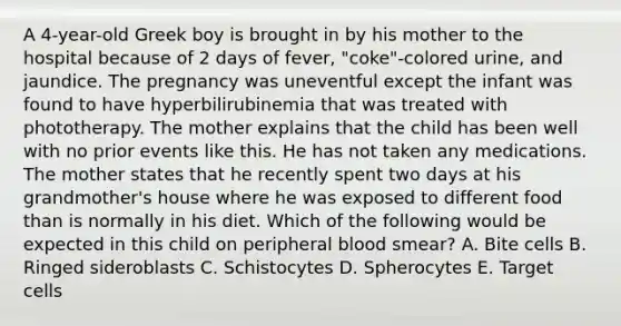 A 4-year-old Greek boy is brought in by his mother to the hospital because of 2 days of fever, "coke"-colored urine, and jaundice. The pregnancy was uneventful except the infant was found to have hyperbilirubinemia that was treated with phototherapy. The mother explains that the child has been well with no prior events like this. He has not taken any medications. The mother states that he recently spent two days at his grandmother's house where he was exposed to different food than is normally in his diet. Which of the following would be expected in this child on peripheral blood smear? A. Bite cells B. Ringed sideroblasts C. Schistocytes D. Spherocytes E. Target cells