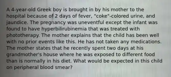 A 4-year-old Greek boy is brought in by his mother to the hospital because of 2 days of fever, "coke"-colored urine, and jaundice. The pregnancy was uneventful except the infant was found to have hyperbilirubinemia that was treated with phototherapy. The mother explains that the child has been well with no prior events like this. He has not taken any medications. The mother states that he recently spent two days at his grandmother's house where he was exposed to different food than is normally in his diet. What would be expected in this child on peripheral blood smear?