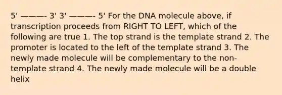 5' ———- 3' 3' ———- 5' For the DNA molecule above, if transcription proceeds from RIGHT TO LEFT, which of the following are true 1. The top strand is the template strand 2. The promoter is located to the left of the template strand 3. The newly made molecule will be complementary to the non- template strand 4. The newly made molecule will be a double helix