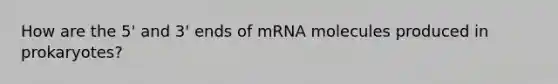 How are the 5' and 3' ends of mRNA molecules produced in prokaryotes?