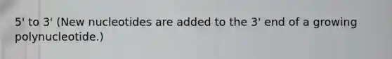 5' to 3' (New nucleotides are added to the 3' end of a growing polynucleotide.)