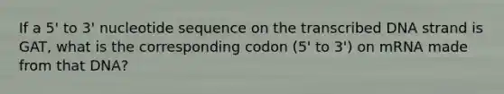 If a 5' to 3' nucleotide sequence on the transcribed DNA strand is GAT, what is the corresponding codon (5' to 3') on mRNA made from that DNA?